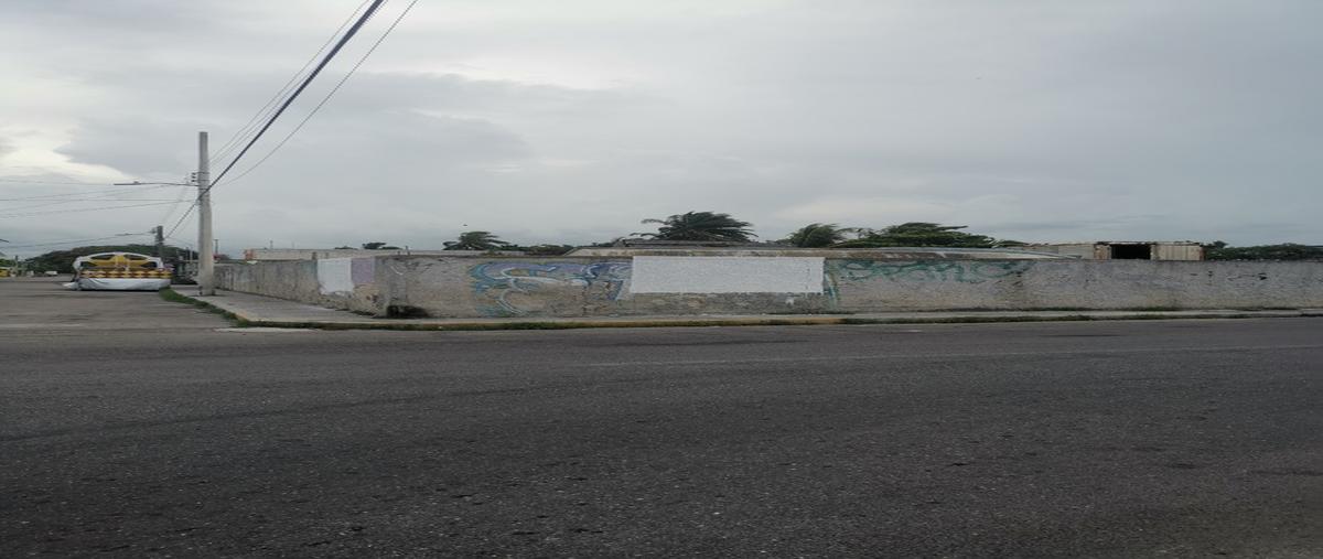 Foto de terreno habitacional en renta en progreso de castro centro whi299119, progreso de castro centro, progreso, yucatán, 0 No. 05