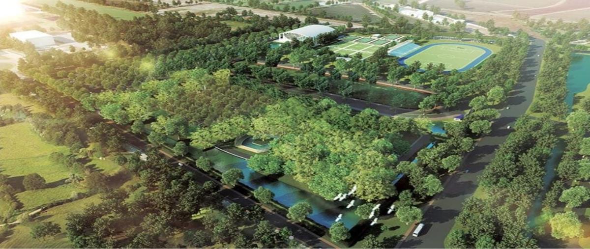 Foto de terreno habitacional en venta en progreso de castro centro whi307600, progreso de castro centro, progreso, yucatán, 0 No. 04