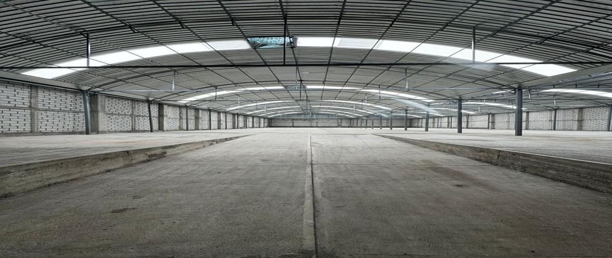 Foto de bodega en renta en  , progreso, jiutepec, morelos, 0 No. 03