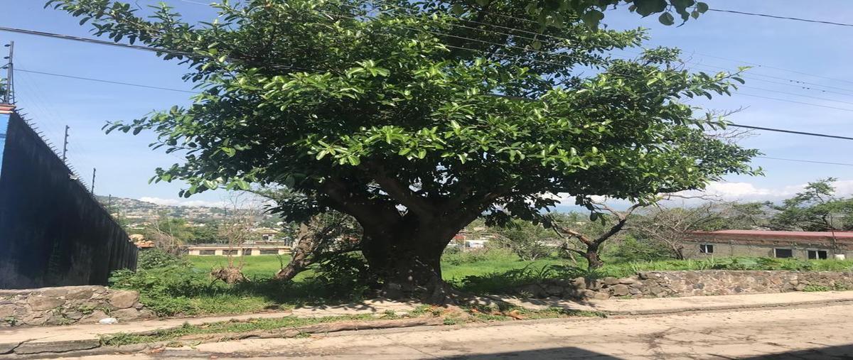Foto de terreno habitacional en venta en  , progreso, jiutepec, morelos, 0 No. 05