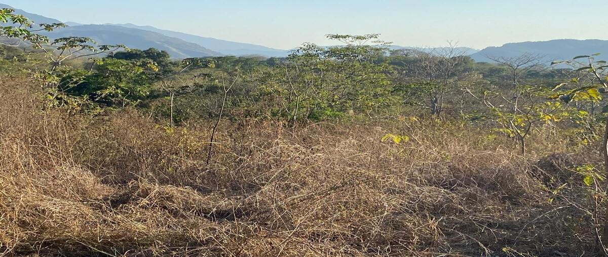 Foto de terreno habitacional en venta en  , progreso, minatitlán, colima, 0 No. 03