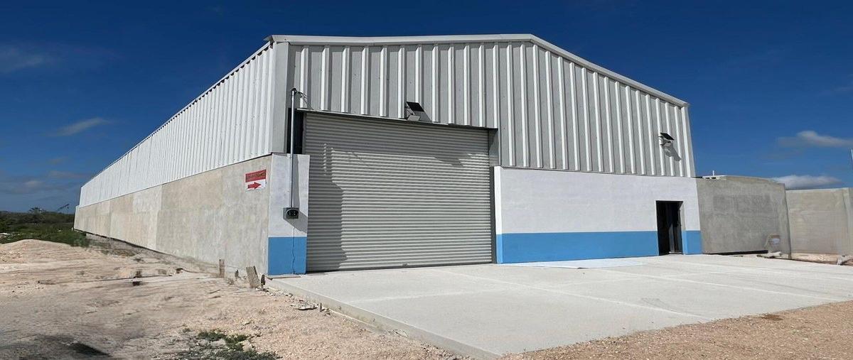 Foto de bodega en renta en progreso , paraíso, mérida, yucatán, 30919995 No. 05