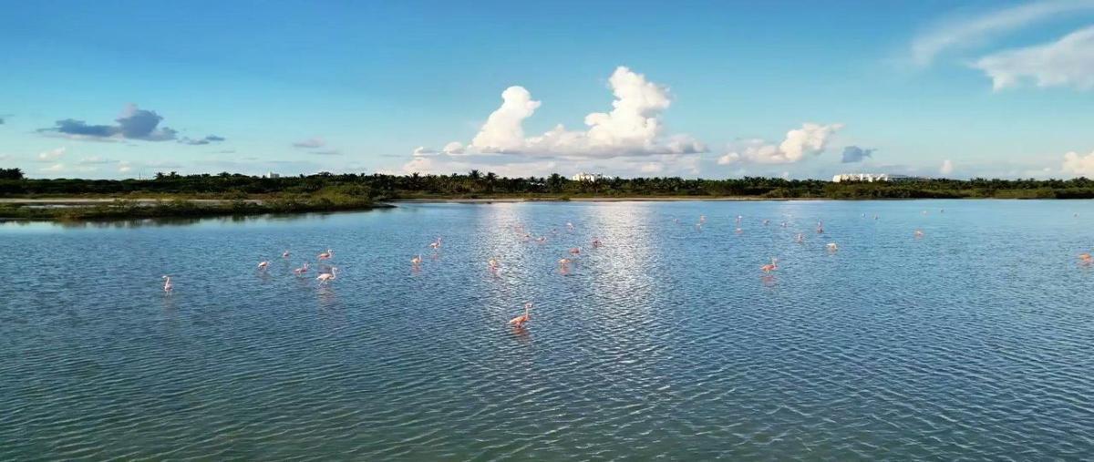 Foto de terreno habitacional en venta en progreso , progreso de castro centro, progreso, yucatán, 0 No. 04