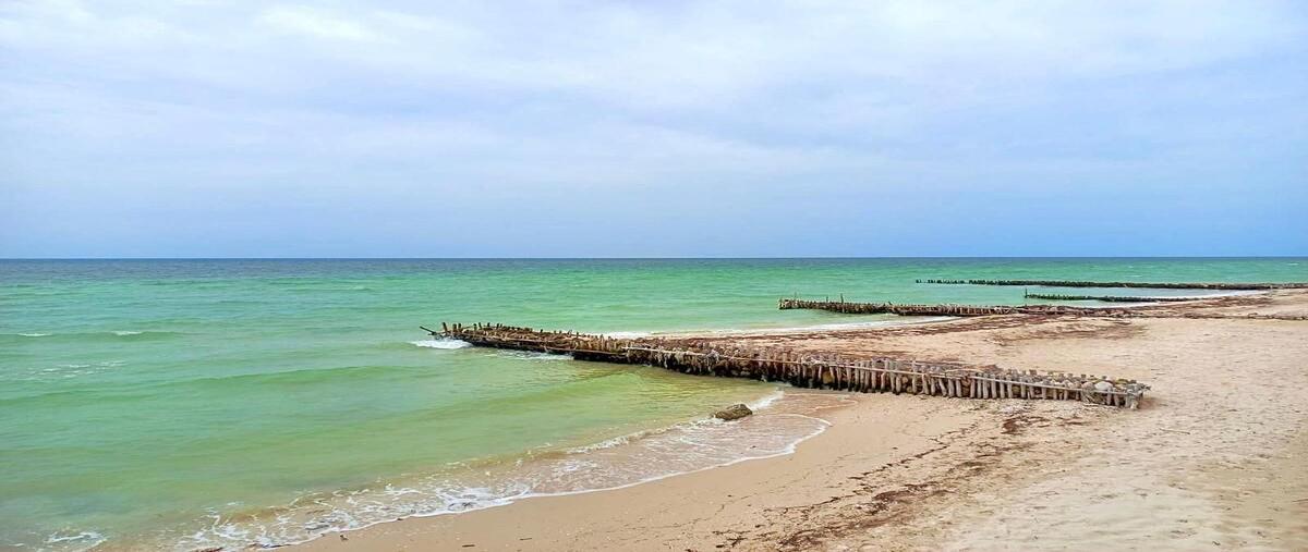 Foto de casa en venta en progresoyuc. , chicxulub puerto, progreso, yucatán, 30016237 No. 04