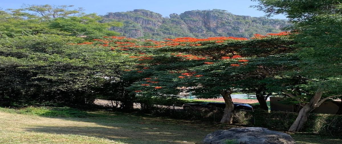 Foto de terreno habitacional en venta en prolongacion 16 de septiembre # 165 condominio vista sur lote 1 , la peña, valle de bravo, méxico, 27210723 No. 04