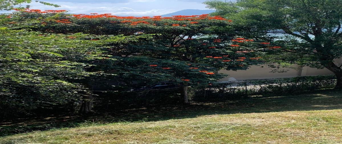 Foto de terreno habitacional en venta en prolongacion 16 de septiembre # 165 condominio vista sur lote 1 , la peña, valle de bravo, méxico, 27210723 No. 05