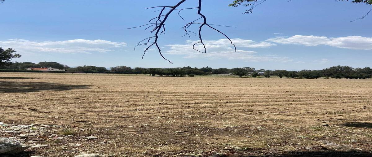 Foto de terreno habitacional en prolongacion 16 de septiembre , san mateo inophil, tzompantepec, tlaxcala, 0 foto 03 Foto de terreno habitacional en venta en prolongacion 16 de septiembre , san mateo inophil, tzompantepec, tlaxcala, 0 No. 03