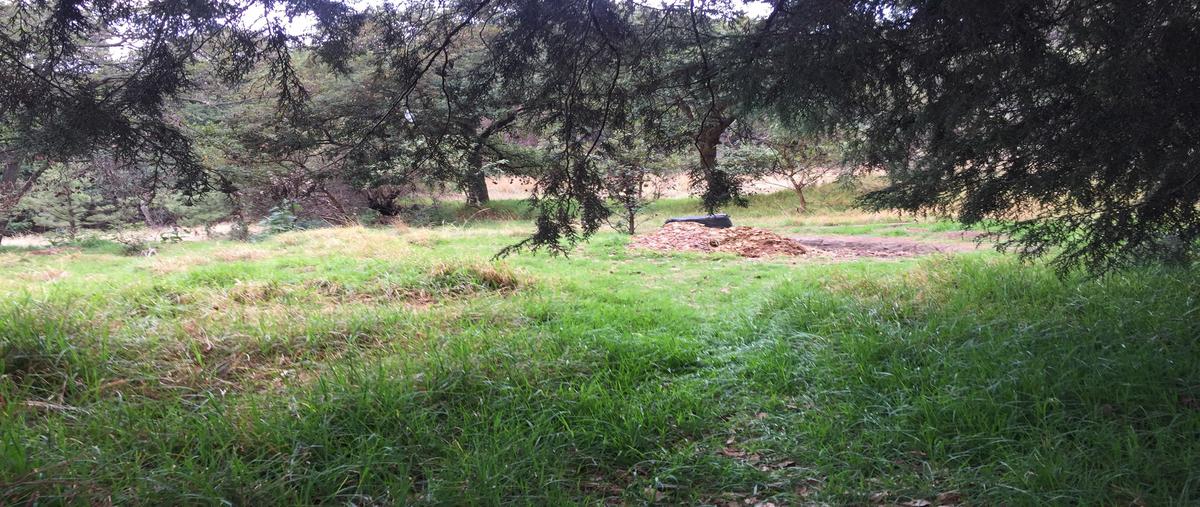 Foto de terreno habitacional en venta en prolongacion 5 de febrero , san miguel xicalco, tlalpan, df / cdmx, 14204032 No. 01