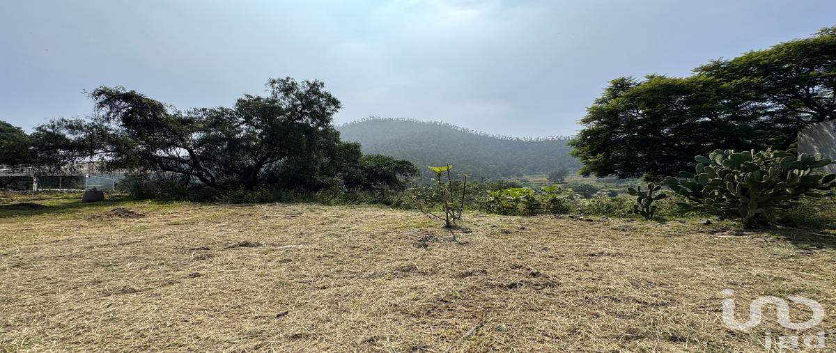 Foto de terreno habitacional en venta en prolongación 5 de mayo 525, santa maría tepepan, xochimilco, df / cdmx, 29465422 No. 03