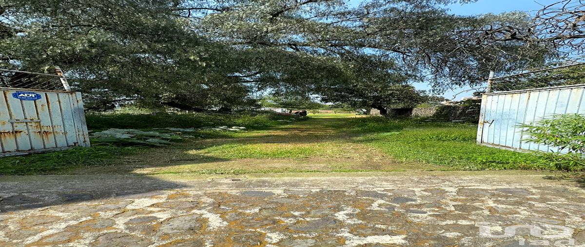 Foto de terreno habitacional en prolongación 5 de mayo 536, santa maría tepepan, xochimilco, df / cdmx, 29465422 foto 05 Foto de terreno habitacional en venta en prolongación 5 de mayo 536, santa maría tepepan, xochimilco, df / cdmx, 29465422 No. 05