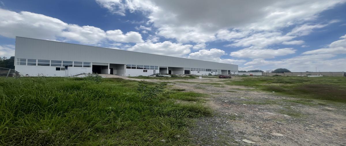 Foto de bodega en renta en prolongación 5 de mayo , san juan de ocotan, zapopan, jalisco, 0 No. 05