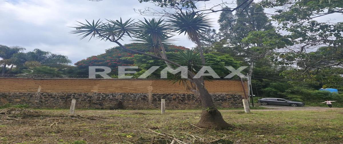 Foto de terreno habitacional en venta en prolongación allende , san josé, tepoztlán, morelos, 0 No. 03