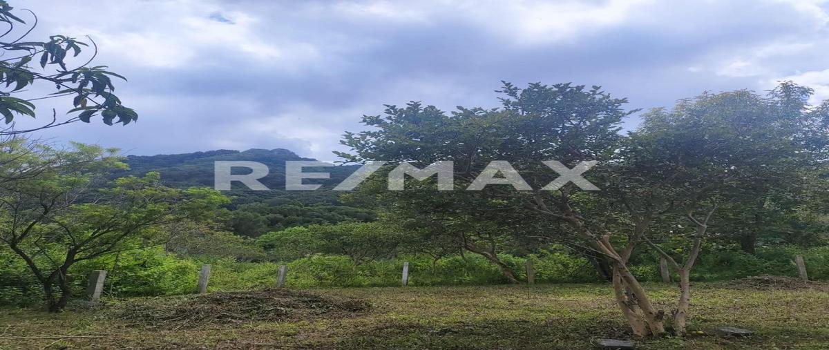 Foto de terreno habitacional en venta en prolongación allende , san josé, tepoztlán, morelos, 0 No. 04