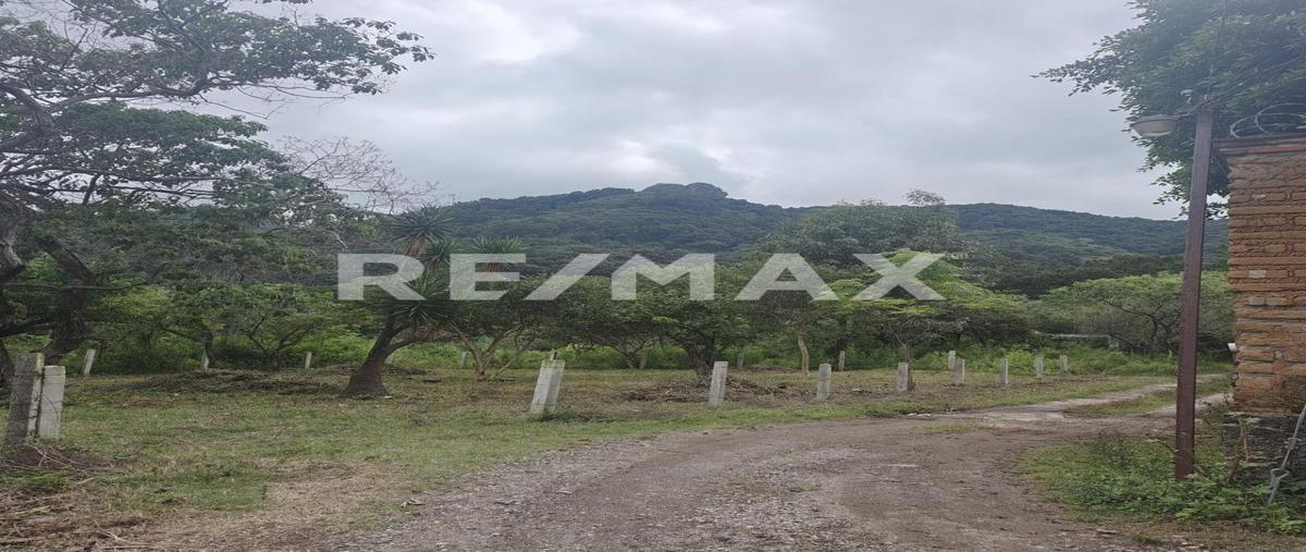 Foto de terreno habitacional en venta en prolongación allende , san josé, tepoztlán, morelos, 0 No. 05