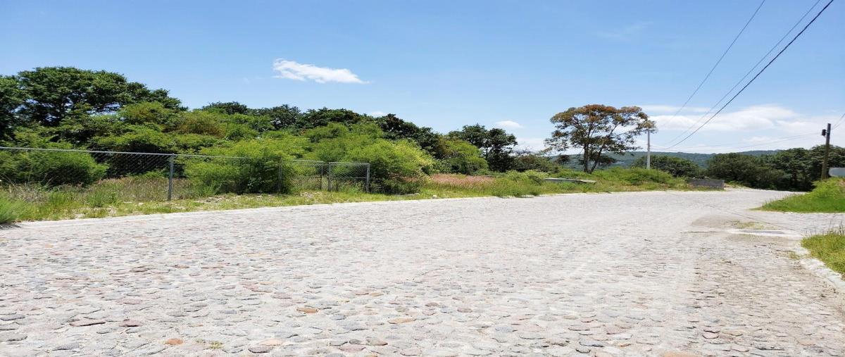 Foto de terreno habitacional en venta en prolongación avenida las haras 3001, campestre haras, amozoc, puebla, 25907766 No. 03