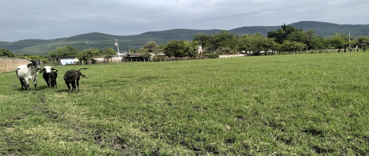 Foto de terreno comercial en prolongación benito juarez , modesto rangel, emiliano zapata, morelos, 29416025 foto 02 Foto de terreno comercial en venta en prolongación benito juarez , modesto rangel, emiliano zapata, morelos, 29416025 No. 02