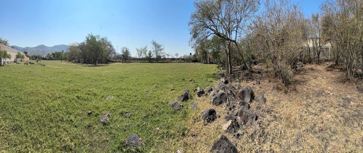 Foto de terreno comercial en prolongación benito juarez , modesto rangel, emiliano zapata, morelos, 29416025 foto 03 Foto de terreno comercial en venta en prolongación benito juarez , modesto rangel, emiliano zapata, morelos, 29416025 No. 03
