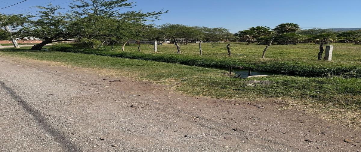 Foto de terreno comercial en prolongación benito juarez , modesto rangel, emiliano zapata, morelos, 29416025 foto 05 Foto de terreno comercial en venta en prolongación benito juarez , modesto rangel, emiliano zapata, morelos, 29416025 No. 05