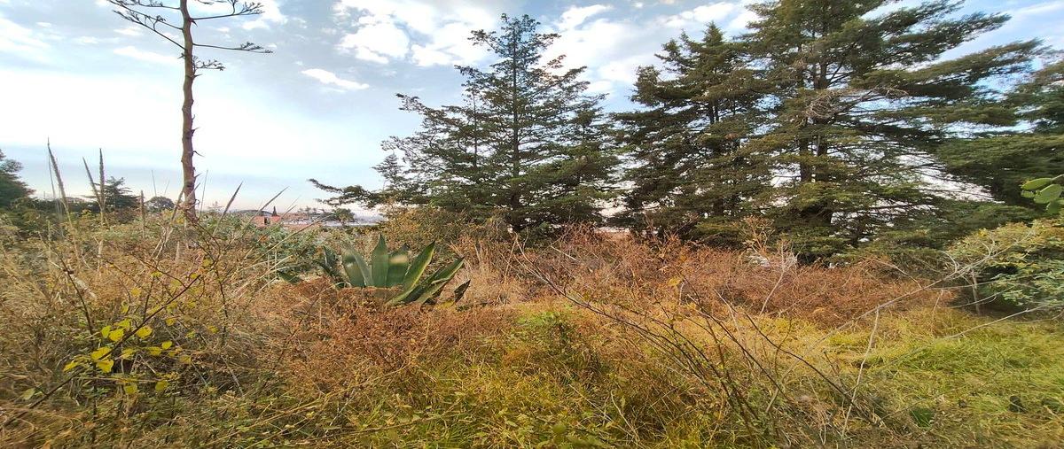 Foto de terreno habitacional en venta en prolongación benito juárez , san andrés totoltepec, tlalpan, df / cdmx, 30994347 No. 05