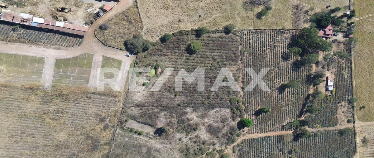 Foto de terreno industrial en venta en prolongación brecha camino a san miguel , centro de readaptación social, el salto, jalisco, 0 No. 05