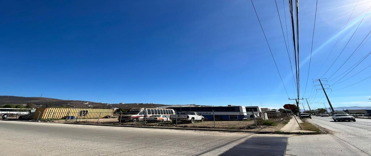 Foto de terreno habitacional en prolongacion bulevard zertuche , praderas del ciprés sección 2, ensenada, baja california, 25704430 foto 01 Foto de terreno habitacional en renta en prolongacion bulevard zertuche , praderas del ciprés sección 2, ensenada, baja california, 25704430 No. 01