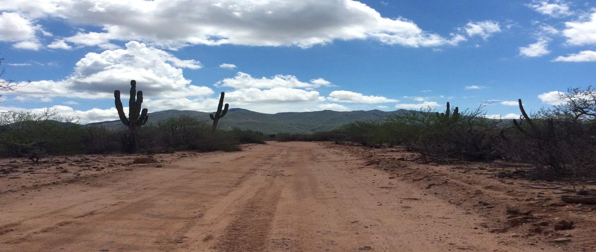 Foto de terreno comercial en venta en prolongación calle buenos aires, s/n , san pedro, la paz, baja california sur, 21899145 No. 03