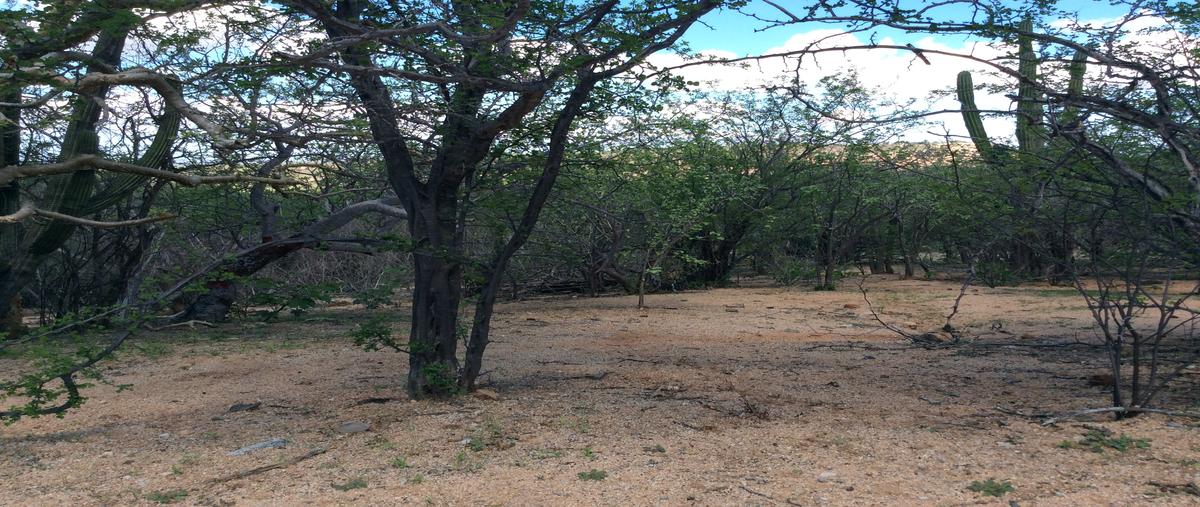 Foto de terreno comercial en venta en prolongación calle buenos aires, s/n , san pedro, la paz, baja california sur, 21899145 No. 04