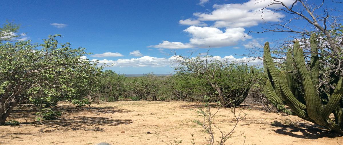 Foto de terreno comercial en venta en prolongación calle buenos aires, s/n , san pedro, la paz, baja california sur, 21899145 No. 05