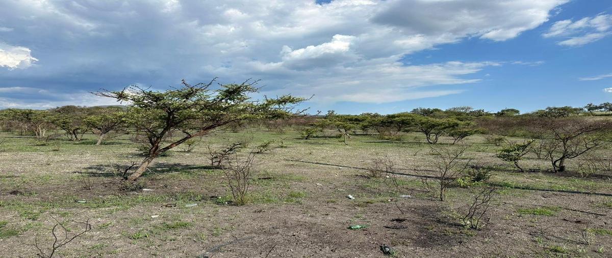 Foto de terreno habitacional en prolongacion , charo, charo, michoacán de ocampo, 26244655 foto 02 Foto de terreno habitacional en venta en prolongacion , charo, charo, michoacán de ocampo, 26244655 No. 02