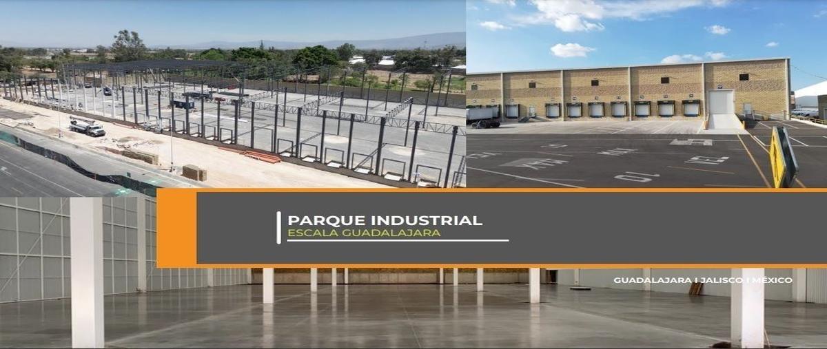 Foto de bodega en renta en prolongacion colon , parques de santa maría, san pedro tlaquepaque, jalisco, 28868274 No. 05