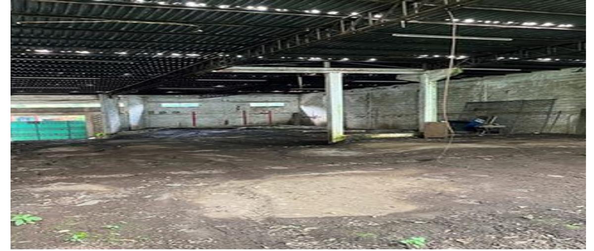 Foto de bodega en venta en prolongación de adalberto tejeda , f j moreno, san andrés tuxtla, veracruz de ignacio de la llave, 29918983 No. 04