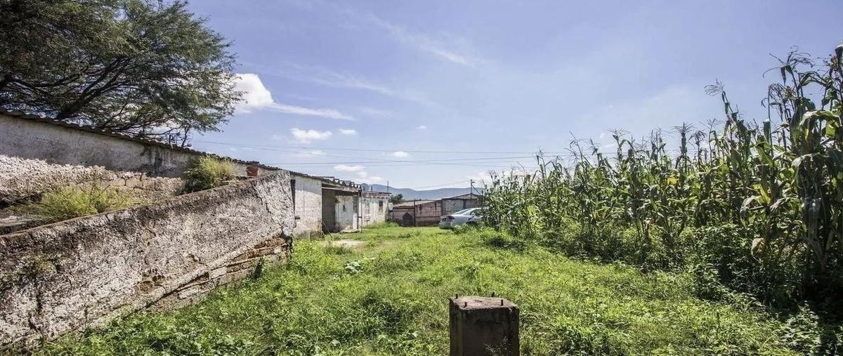 Foto de terreno habitacional en venta en prolongación de avenida lópez mateos , tlajomulco centro, tlajomulco de zúñiga, jalisco, 27365808 No. 04