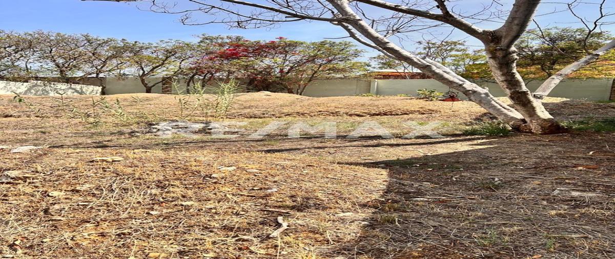 Foto de terreno habitacional en venta en prolongacion de colon , san felipe del agua 1, oaxaca de juárez, oaxaca, 0 No. 03