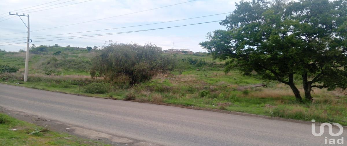 Foto de terreno habitacional en venta en prolongacion de la 11 sur y la cantera 12110, tercera sección de santa clara ocoyucan, ocoyucan, puebla, 30026252 No. 06
