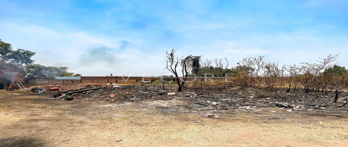 Foto de terreno habitacional en venta en prolongacion hidalgo , tateposco, san pedro tlaquepaque, jalisco, 26648744 No. 05