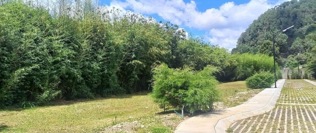 Foto de terreno habitacional en venta en prolongación insurgentes , maría auxiliadora, san cristóbal de las casas, chiapas, 30176218 No. 04