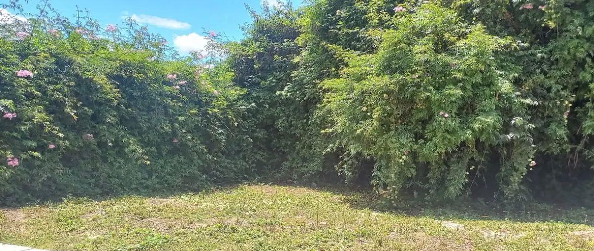 Foto de terreno habitacional en venta en prolongación insurgentes , maría auxiliadora, san cristóbal de las casas, chiapas, 30176218 No. 05