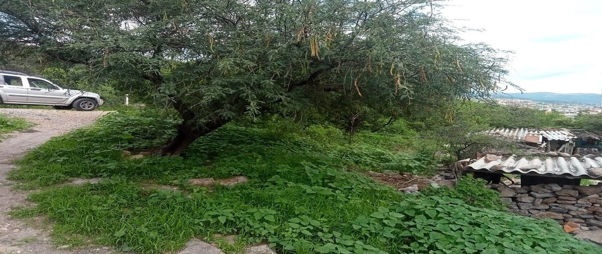 Foto de terreno habitacional en venta en prolongacion la espiga , san luis rey, san miguel de allende, guanajuato, 0 No. 05