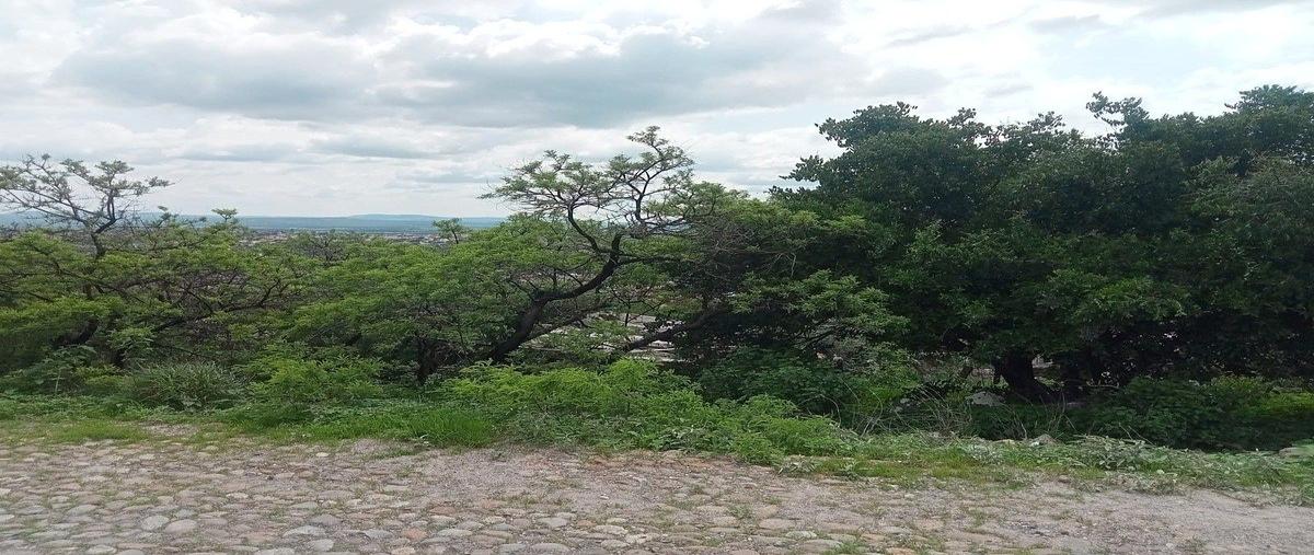 Foto de terreno habitacional en venta en prolongacion la espiga , san luis rey, san miguel de allende, guanajuato, 0 No. 06
