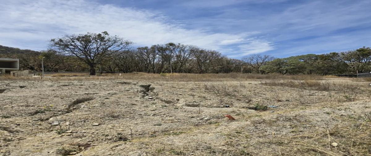 Foto de terreno industrial en venta en prolongacion mariano otero , los robles, zapopan, jalisco, 29744270 No. 04