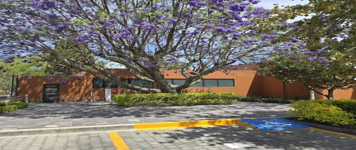 Foto de terreno industrial en venta en prolongacion mariano otero , los robles, zapopan, jalisco, 29744270 No. 05