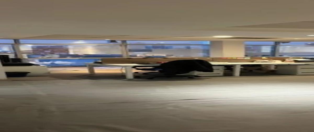 Foto de oficina en prolongacion moliere , ampliación granada, miguel hidalgo, df / cdmx, 0 foto 01 Foto de oficina en renta en prolongacion moliere , ampliación granada, miguel hidalgo, df / cdmx, 0 No. 01