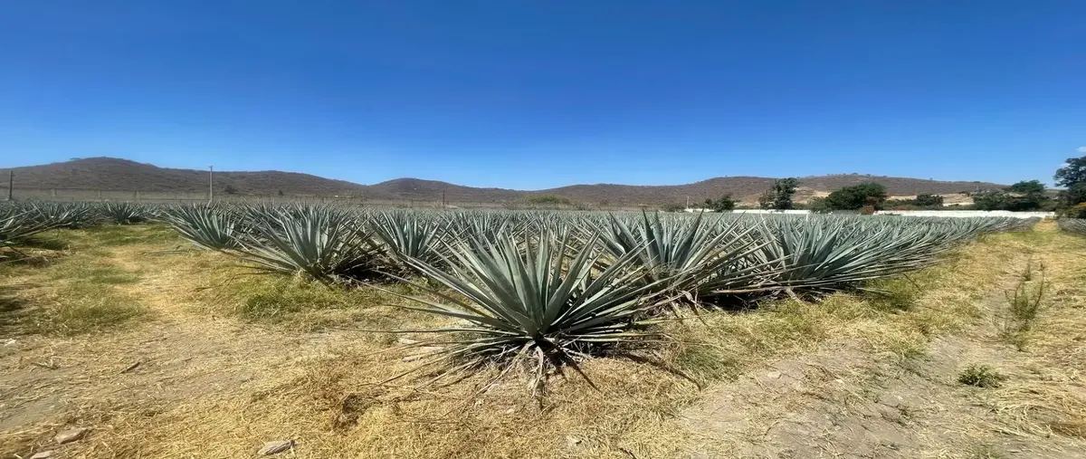 Foto de terreno comercial en venta en prolongacion niños héroes 10 14, san agustin, tlajomulco de zúñiga, jalisco, 0 No. 01