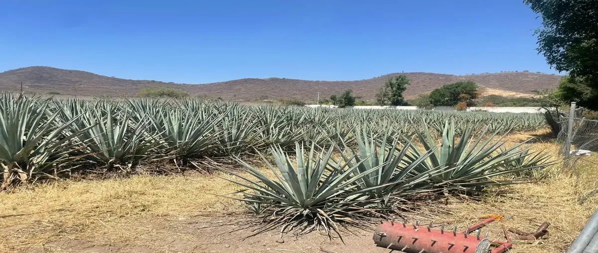 Foto de terreno comercial en venta en prolongacion niños héroes 10 14, san agustin, tlajomulco de zúñiga, jalisco, 0 No. 02