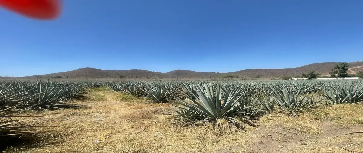 Foto de terreno comercial en venta en prolongacion niños héroes 10 14, san agustin, tlajomulco de zúñiga, jalisco, 0 No. 04