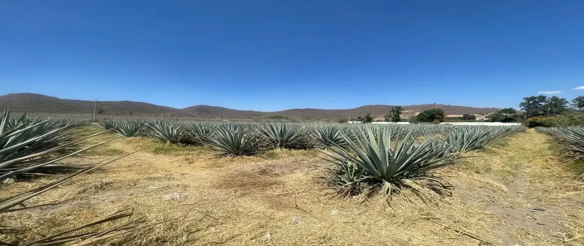 Foto de terreno comercial en venta en prolongacion niños héroes 10 14, san agustin, tlajomulco de zúñiga, jalisco, 0 No. 05