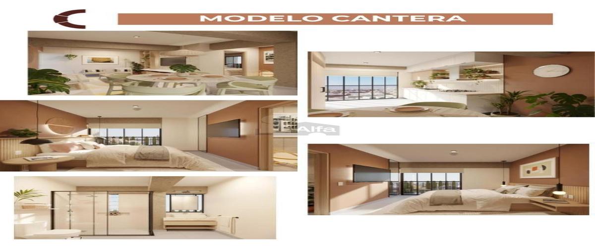 Foto de departamento en venta en prolongacion pedro vallejo 1715, san juan de guadalupe, san luis potosí, san luis potosí, 26906205 No. 04
