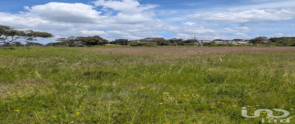 Foto de terreno habitacional en venta en prolongacion pino suarez , san juan dehedó, amealco de bonfil, querétaro, 30291444 No. 04