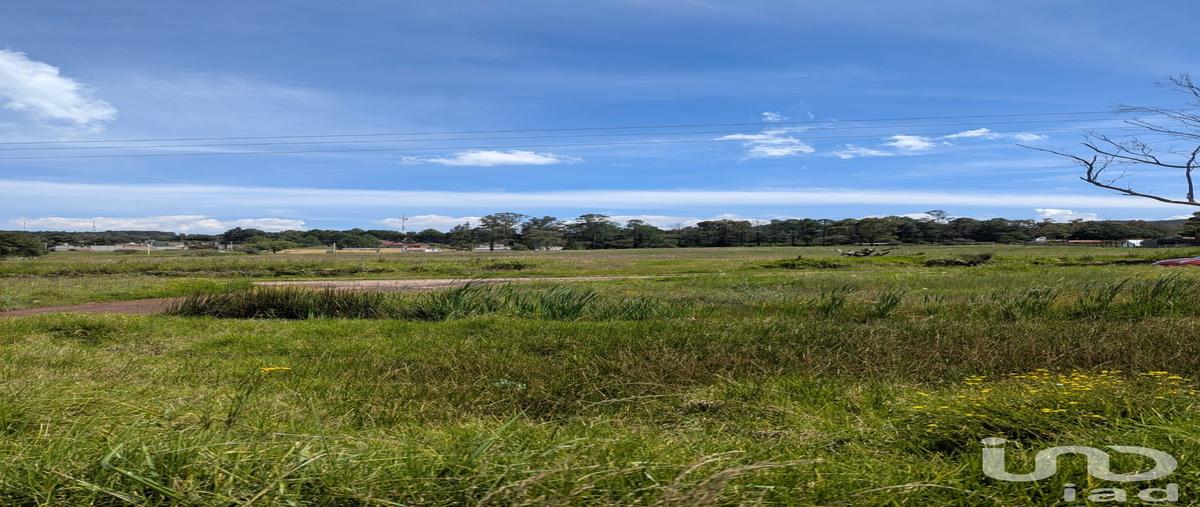 Foto de terreno habitacional en venta en prolongacion pino suarez , san juan dehedó, amealco de bonfil, querétaro, 30291444 No. 05