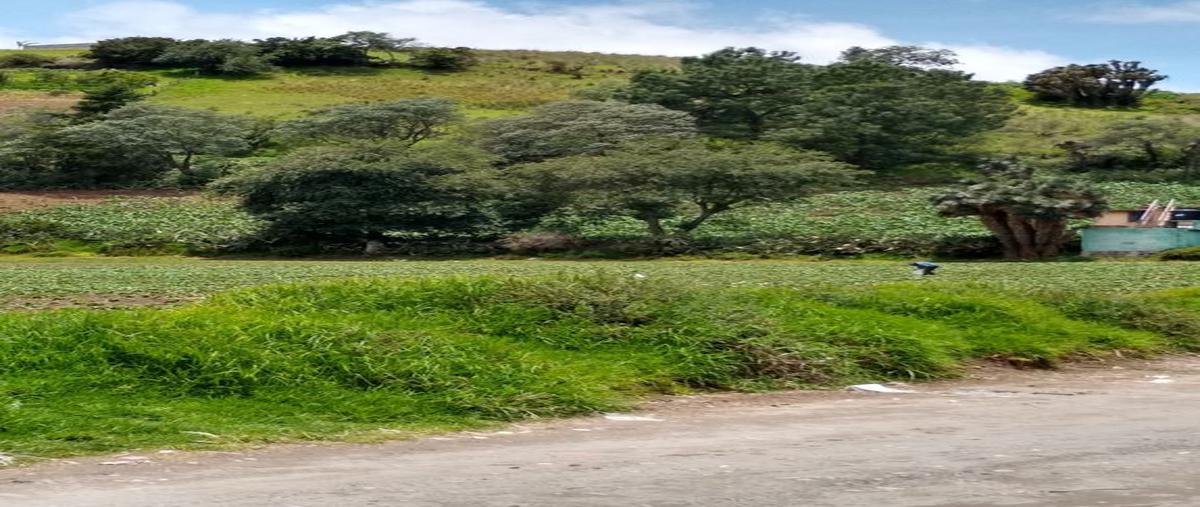 Foto de terreno habitacional en venta en prolongación porfirio díaz , el coloso, tenango del valle, méxico, 25142078 No. 05